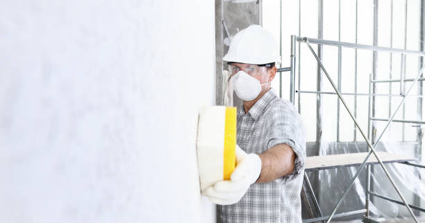 Best Residential Mold Inspection & Testing  in USA